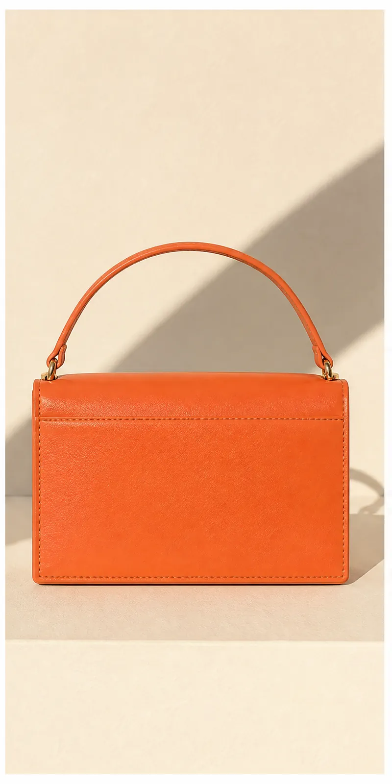 Twin Plane Bag — back view